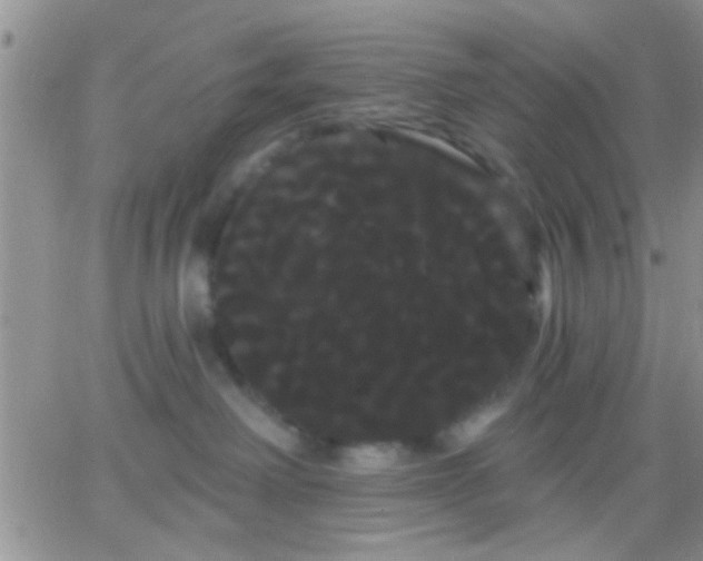 X0000066120238200603171802