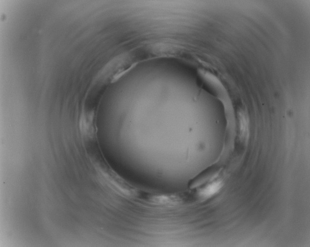 X0000066120239200603171802