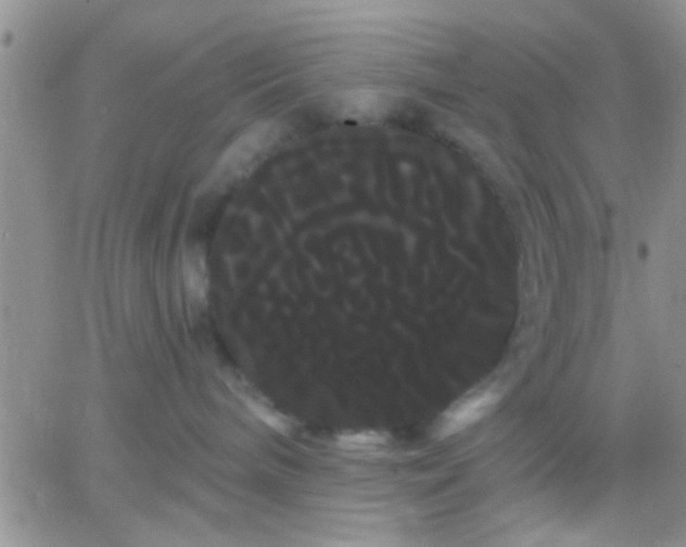 X0000066120240200603171802