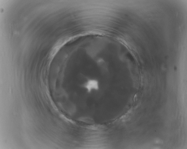 X0000066120241200603171801