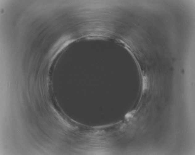 X0000066120243200603171801