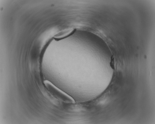 X0000066120244200603171801