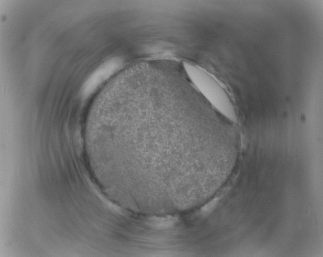 X0000066120245200603171801