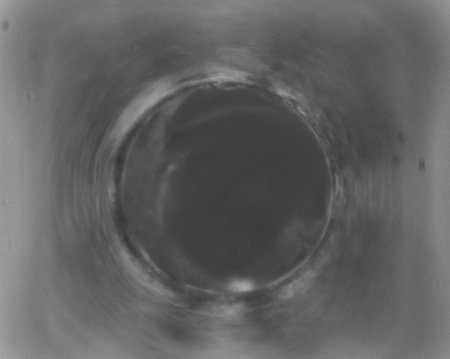 X0000066120247200603171801