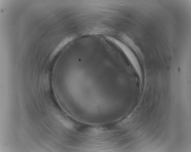 X0000066120250200603171801