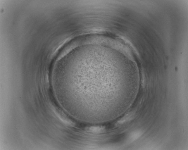 X0000066120251200603171801