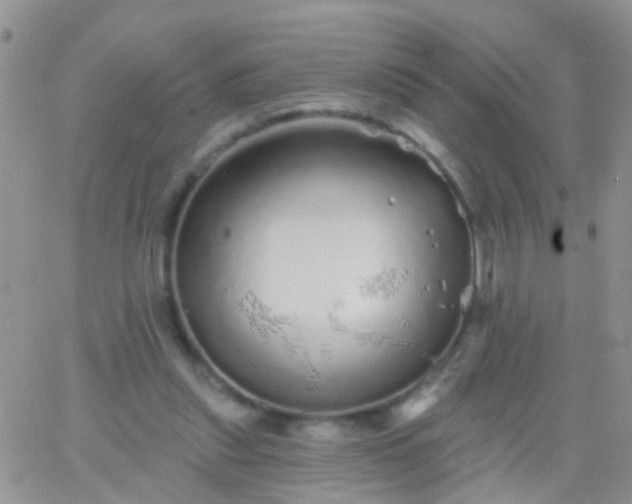 X0000066120253200603171801