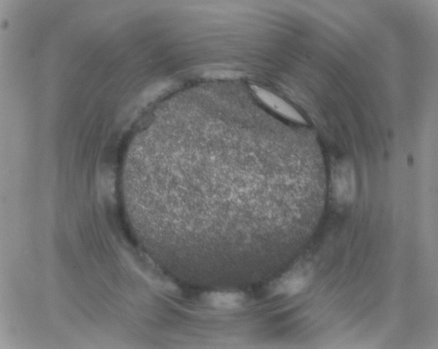 X0000066120255200603171801