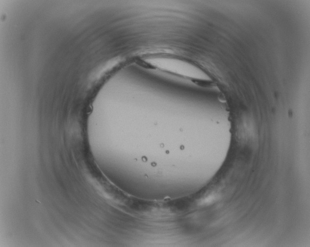 X0000066120256200603171801