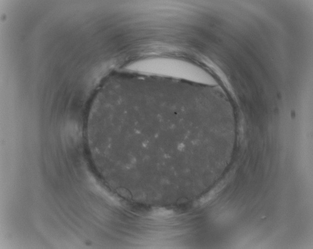 X0000066120257200603171801