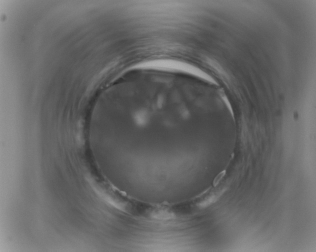 X0000066120258200603171801