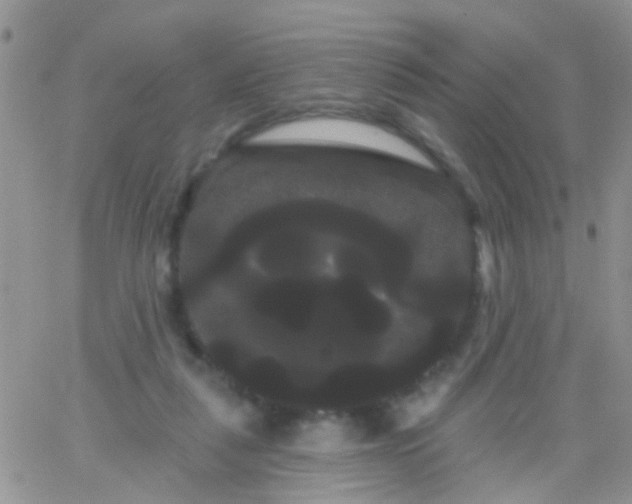 X0000066120259200603171801