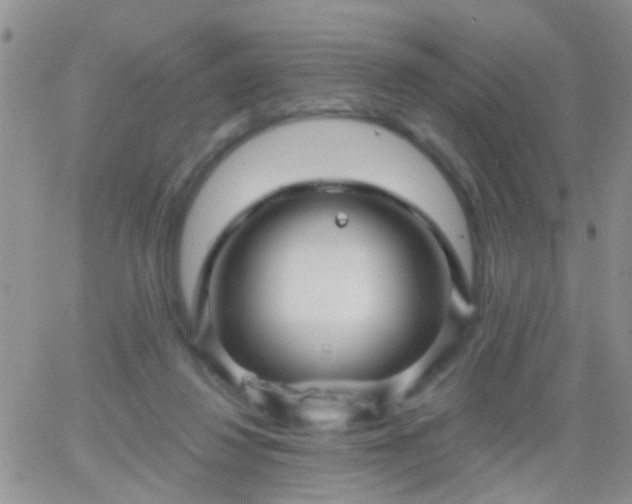 X0000066120260200603171801