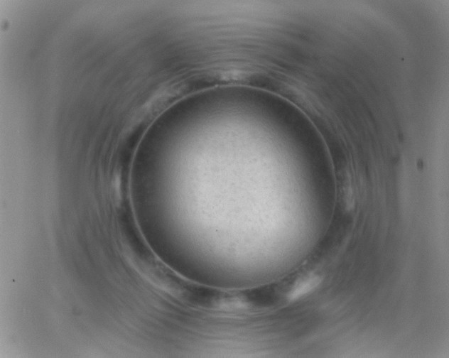 X0000066120262200603171801