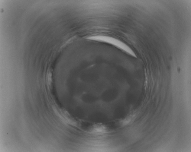 X0000066120263200603171801