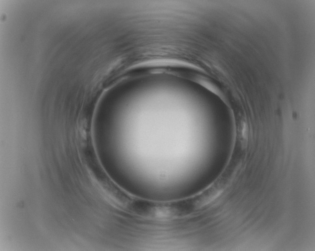 X0000066120264200603171801