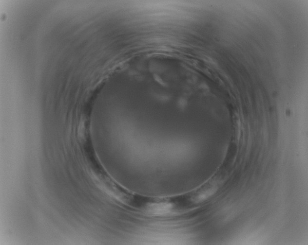 X0000066120266200603171801