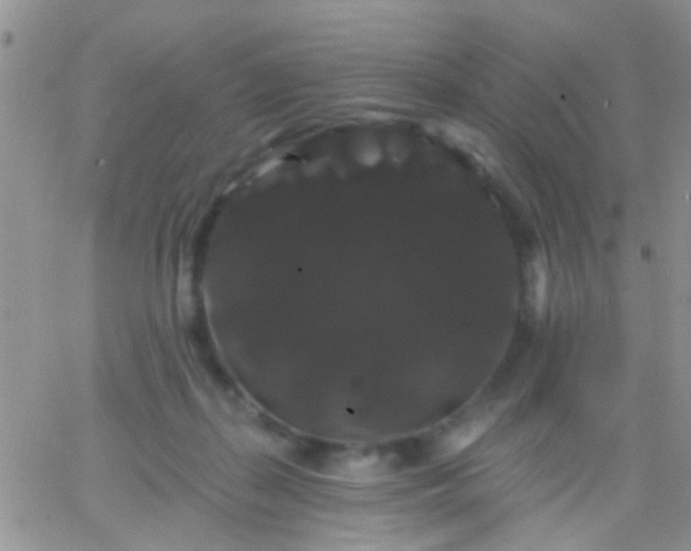 X0000066120267200603171801