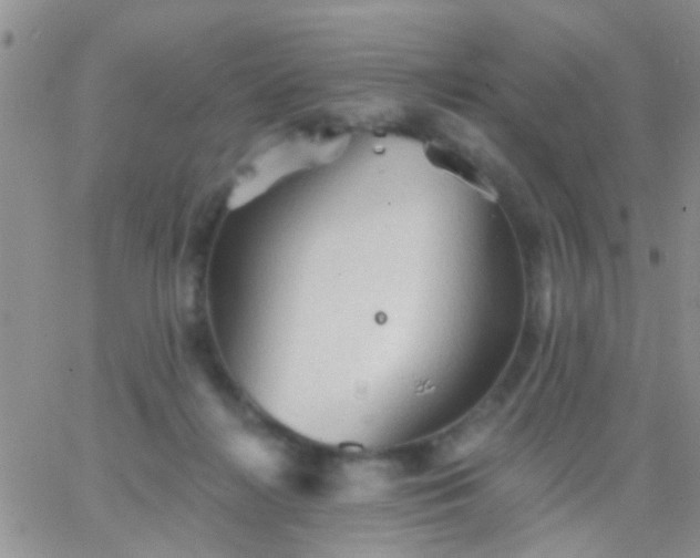 X0000066120268200603171801