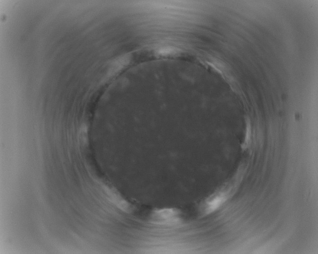 X0000066120269200603171801