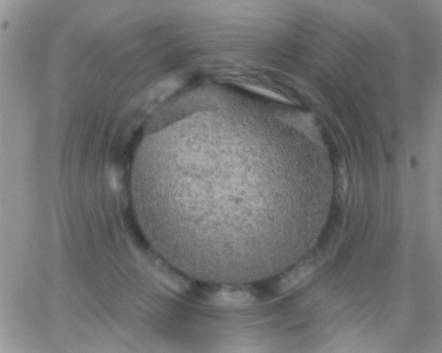 X0000066120270200603171801