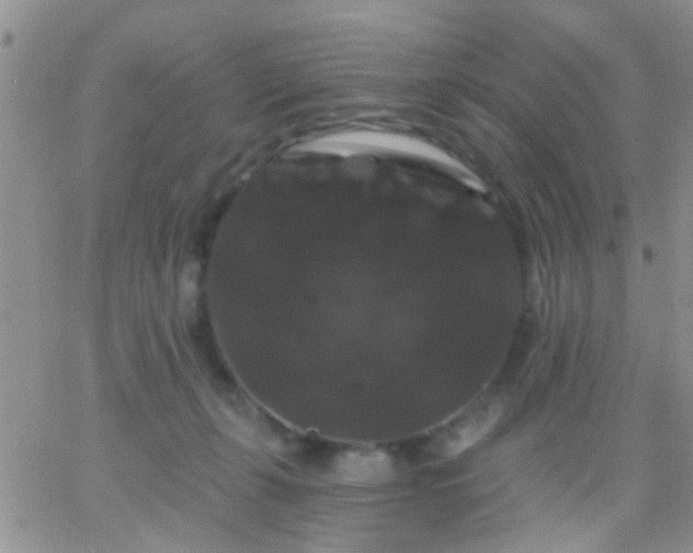 X0000066120271200603171801