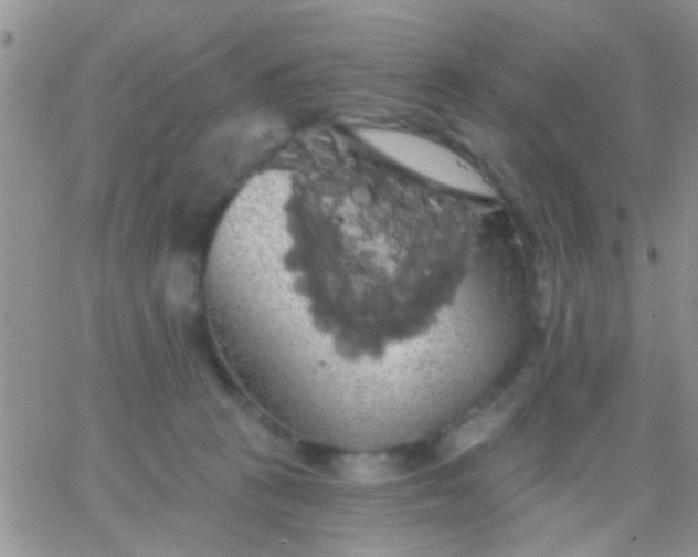 X0000066120273200603171801