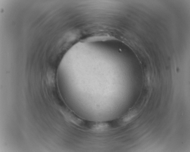 X0000066120274200603171801