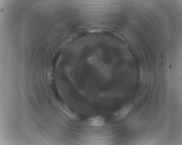 X0000066120275200603171801