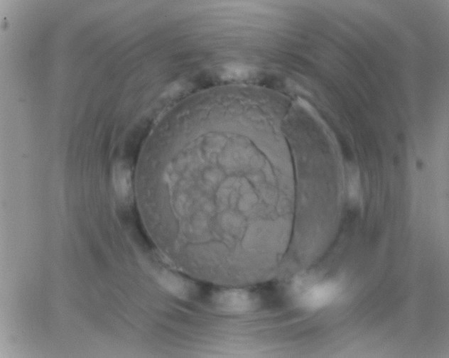 X0000066120276200603171801