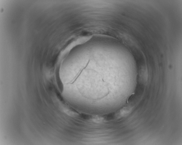 X0000066120278200603171801