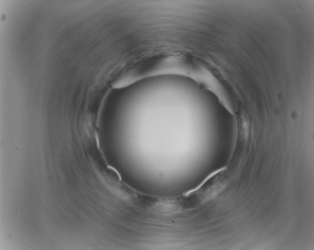 X0000066120280200603171801