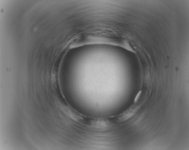 X0000066120282200603171801