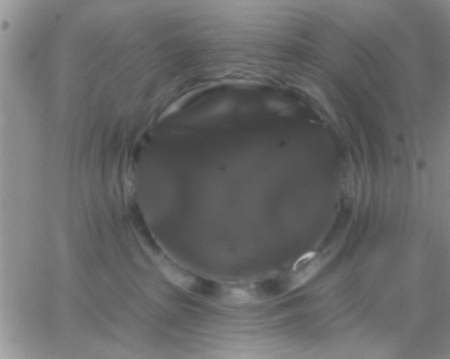 X0000066120285200603171801