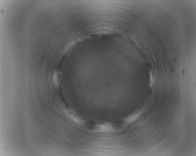 X0000066120286200603171801