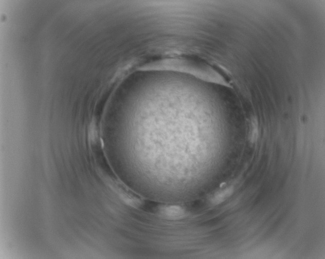 X0000066120287200603171802