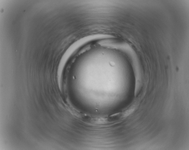 X0000066120288200603171802