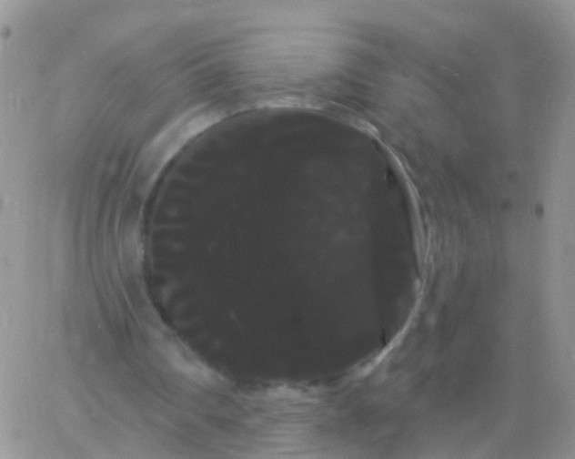 X0000066120290200603171801