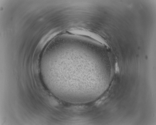 X0000066120291200603171801