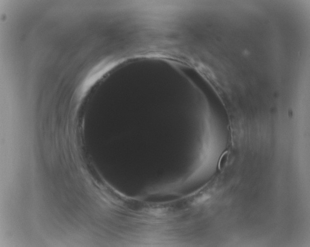 X0000066120295200603171801