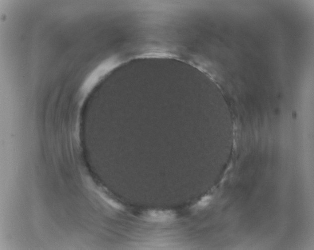 X0000066120296200603171801