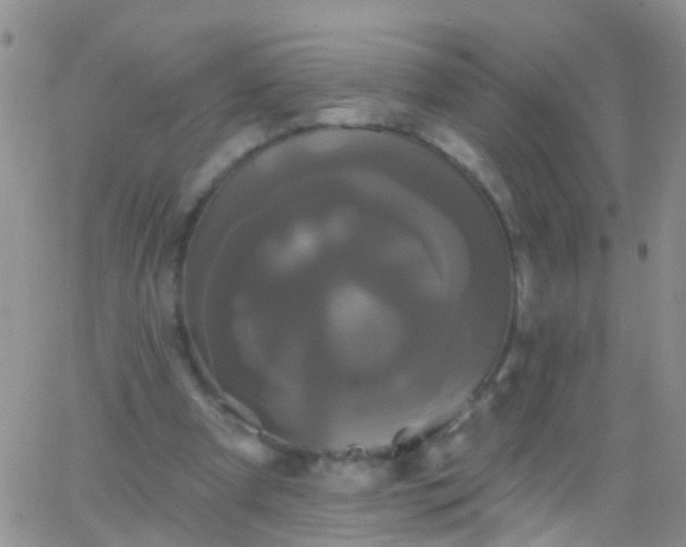 X0000066120297200603171801