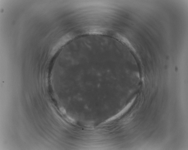 X0000066120299200603171801