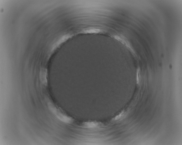 X0000066120300200603171801