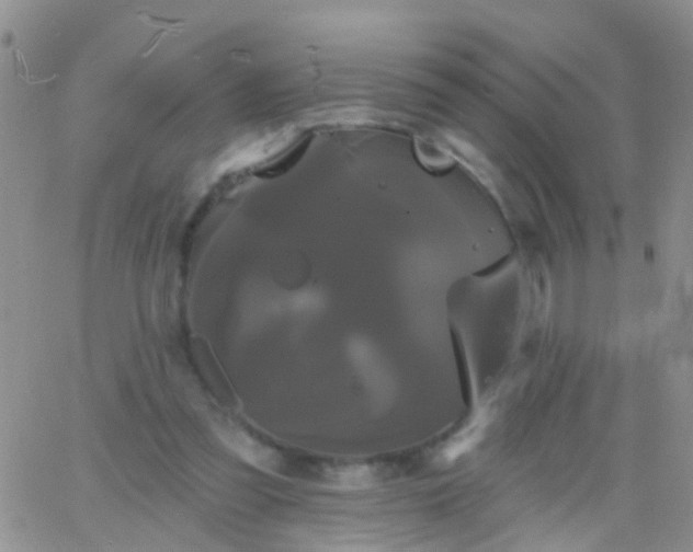 X0000066120301200603171801