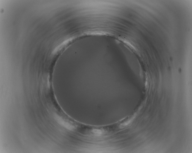 X0000066120302200603171801