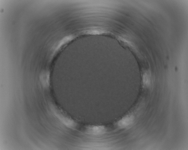 X0000066120304200603171800