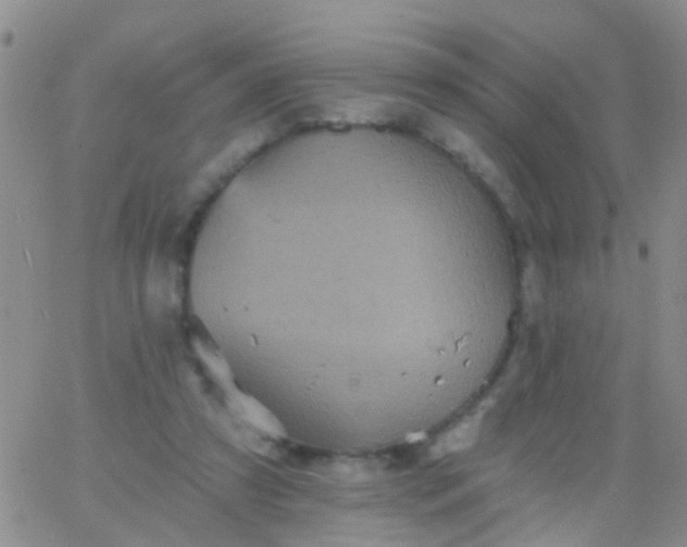 X0000066120305200603171800