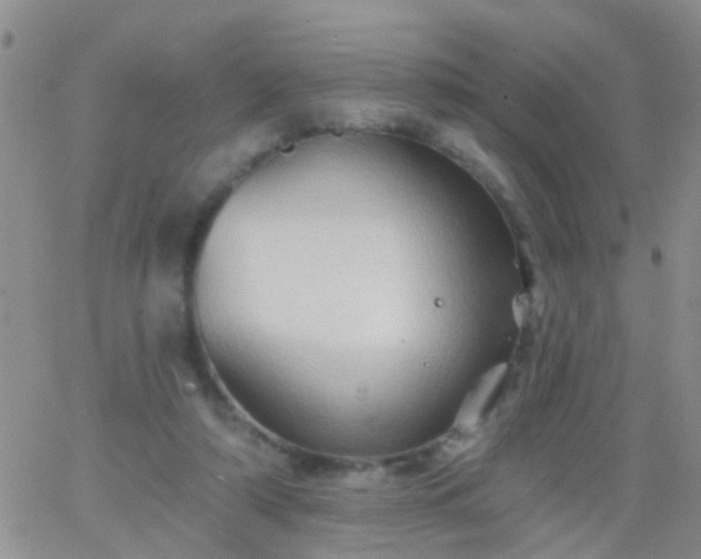 X0000066120306200603171800