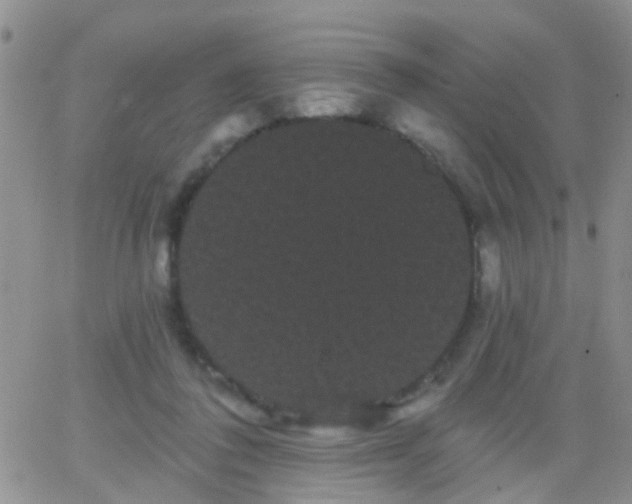 X0000066120308200603171800